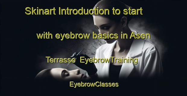 Skinart Introduction to start with eyebrow basics in Asen Terrasse | EyebrowTraining | EyebrowClasses | SkinartTraining-Norway