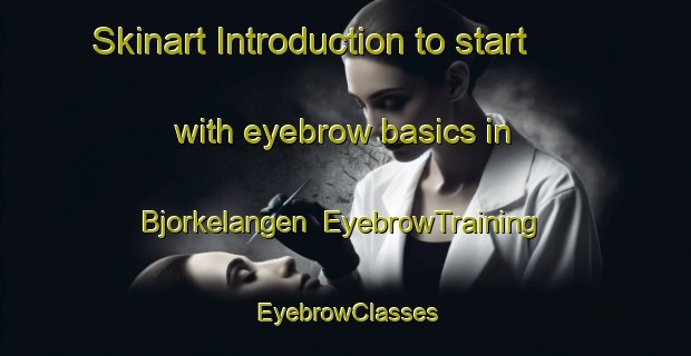 Skinart Introduction to start with eyebrow basics in Bjorkelangen | EyebrowTraining | EyebrowClasses | SkinartTraining-Norway