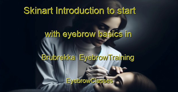 Skinart Introduction to start with eyebrow basics in Brubrekka | EyebrowTraining | EyebrowClasses | SkinartTraining-Norway