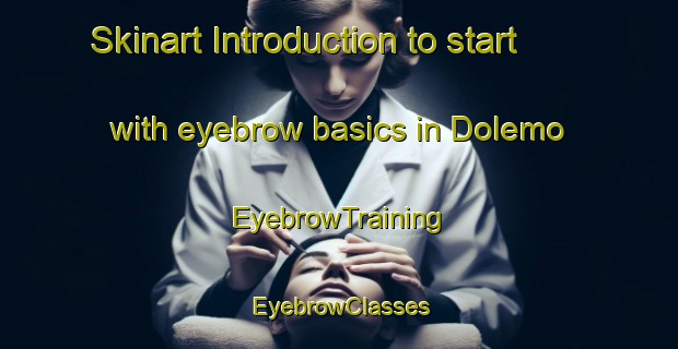 Skinart Introduction to start with eyebrow basics in Dolemo | EyebrowTraining | EyebrowClasses | SkinartTraining-Norway