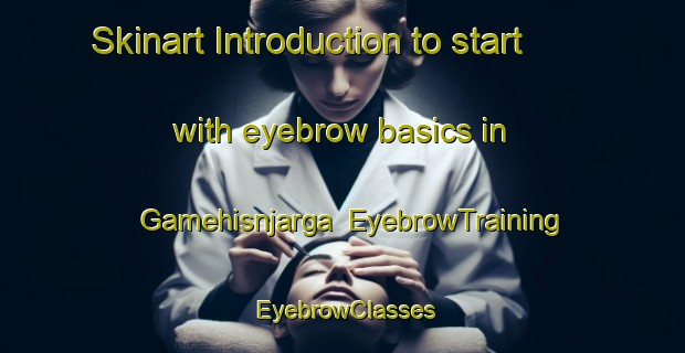 Skinart Introduction to start with eyebrow basics in Gamehisnjarga | EyebrowTraining | EyebrowClasses | SkinartTraining-Norway