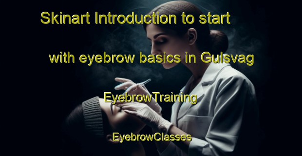 Skinart Introduction to start with eyebrow basics in Gulsvag | EyebrowTraining | EyebrowClasses | SkinartTraining-Norway