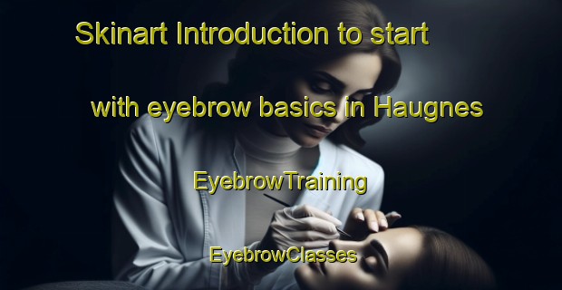 Skinart Introduction to start with eyebrow basics in Haugnes | EyebrowTraining | EyebrowClasses | SkinartTraining-Norway