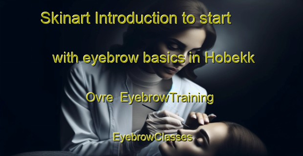 Skinart Introduction to start with eyebrow basics in Hobekk Ovre | EyebrowTraining | EyebrowClasses | SkinartTraining-Norway