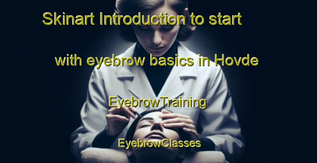 Skinart Introduction to start with eyebrow basics in Hovde | EyebrowTraining | EyebrowClasses | SkinartTraining-Norway