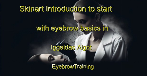 Skinart Introduction to start with eyebrow basics in Iggaldas Algot | EyebrowTraining | EyebrowClasses | SkinartTraining-Norway