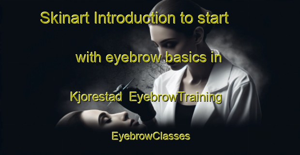 Skinart Introduction to start with eyebrow basics in Kjorestad | EyebrowTraining | EyebrowClasses | SkinartTraining-Norway