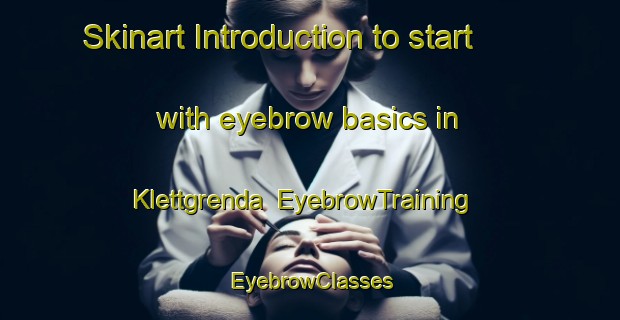 Skinart Introduction to start with eyebrow basics in Klettgrenda | EyebrowTraining | EyebrowClasses | SkinartTraining-Norway