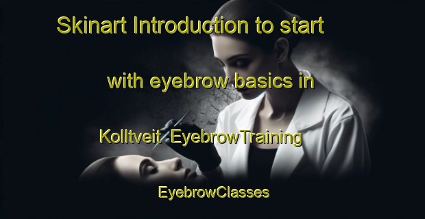 Skinart Introduction to start with eyebrow basics in Kolltveit | EyebrowTraining | EyebrowClasses | SkinartTraining-Norway