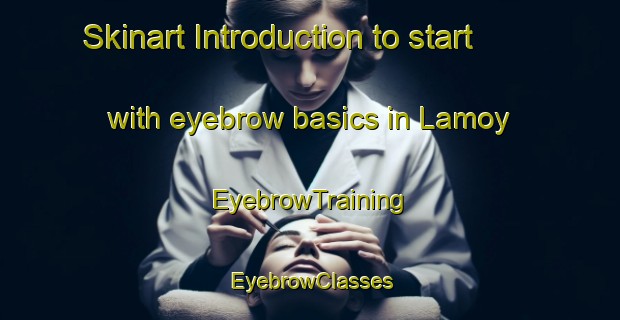 Skinart Introduction to start with eyebrow basics in Lamoy | EyebrowTraining | EyebrowClasses | SkinartTraining-Norway