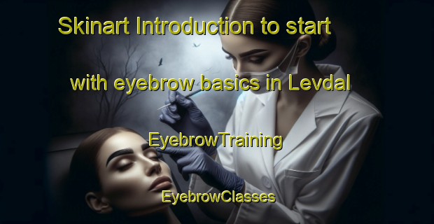 Skinart Introduction to start with eyebrow basics in Levdal | EyebrowTraining | EyebrowClasses | SkinartTraining-Norway