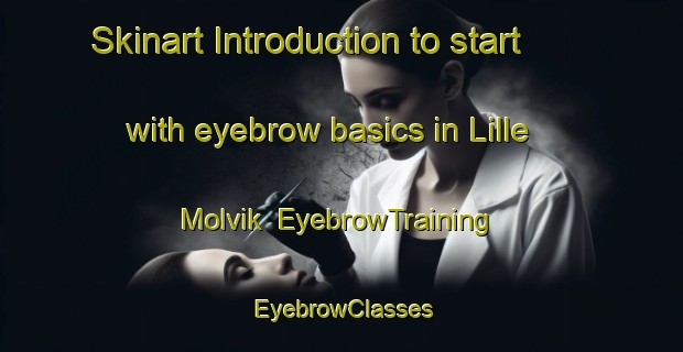 Skinart Introduction to start with eyebrow basics in Lille Molvik | EyebrowTraining | EyebrowClasses | SkinartTraining-Norway