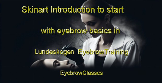 Skinart Introduction to start with eyebrow basics in Lundeskogen | EyebrowTraining | EyebrowClasses | SkinartTraining-Norway