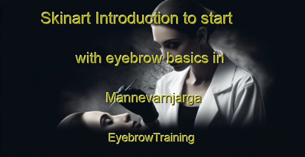 Skinart Introduction to start with eyebrow basics in Mannevarnjarga | EyebrowTraining | EyebrowClasses | SkinartTraining-Norway