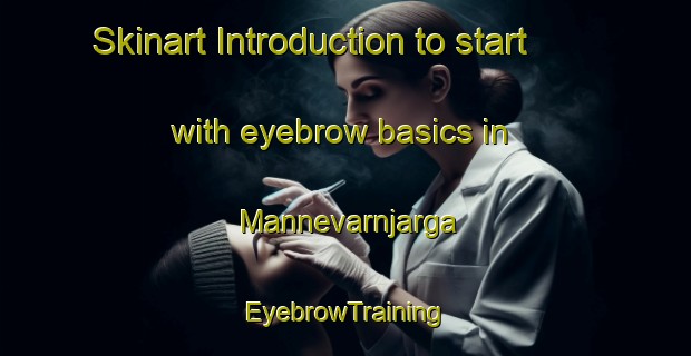 Skinart Introduction to start with eyebrow basics in Mannevarnjarga | EyebrowTraining | EyebrowClasses | SkinartTraining-Norway