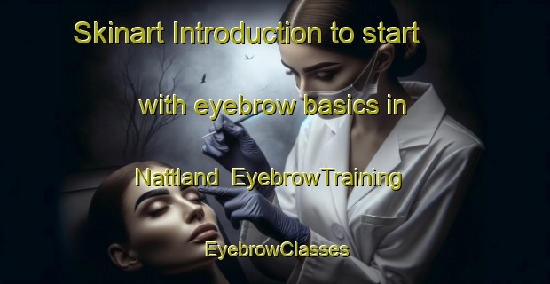 Skinart Introduction to start with eyebrow basics in Nattland | EyebrowTraining | EyebrowClasses | SkinartTraining-Norway