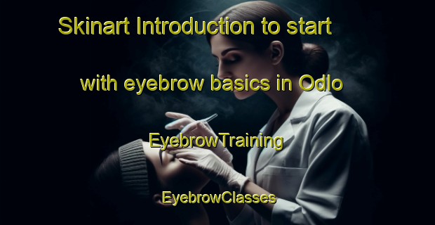 Skinart Introduction to start with eyebrow basics in Odlo | EyebrowTraining | EyebrowClasses | SkinartTraining-Norway