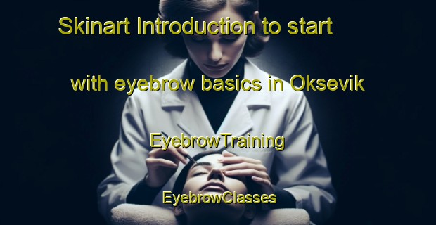 Skinart Introduction to start with eyebrow basics in Oksevik | EyebrowTraining | EyebrowClasses | SkinartTraining-Norway