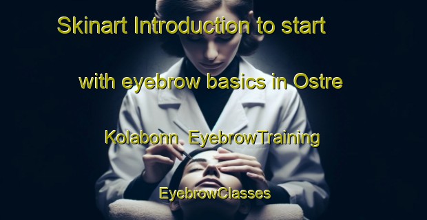 Skinart Introduction to start with eyebrow basics in Ostre Kolabonn | EyebrowTraining | EyebrowClasses | SkinartTraining-Norway