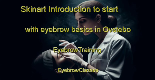 Skinart Introduction to start with eyebrow basics in Ovstebo | EyebrowTraining | EyebrowClasses | SkinartTraining-Norway