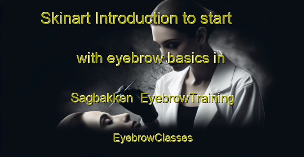 Skinart Introduction to start with eyebrow basics in Sagbakken | EyebrowTraining | EyebrowClasses | SkinartTraining-Norway