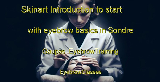 Skinart Introduction to start with eyebrow basics in Sondre Gaupas | EyebrowTraining | EyebrowClasses | SkinartTraining-Norway