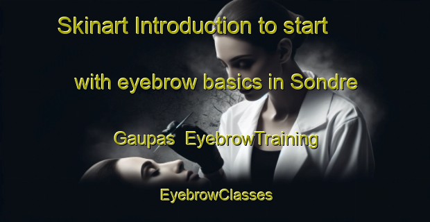 Skinart Introduction to start with eyebrow basics in Sondre Gaupas | EyebrowTraining | EyebrowClasses | SkinartTraining-Norway