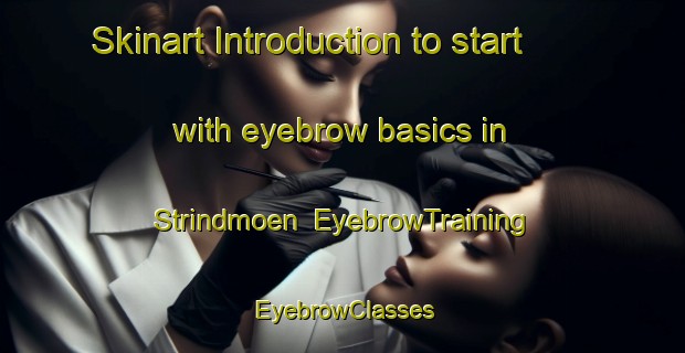 Skinart Introduction to start with eyebrow basics in Strindmoen | EyebrowTraining | EyebrowClasses | SkinartTraining-Norway