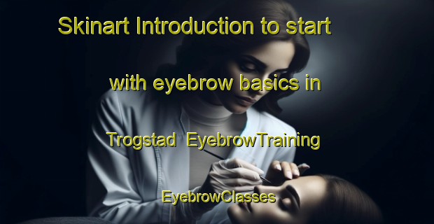 Skinart Introduction to start with eyebrow basics in Trogstad | EyebrowTraining | EyebrowClasses | SkinartTraining-Norway