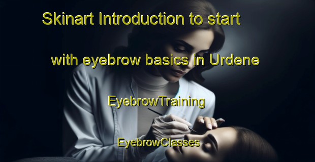 Skinart Introduction to start with eyebrow basics in Urdene | EyebrowTraining | EyebrowClasses | SkinartTraining-Norway