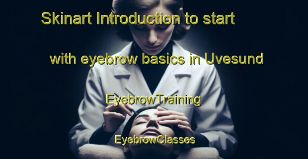 Skinart Introduction to start with eyebrow basics in Uvesund | EyebrowTraining | EyebrowClasses | SkinartTraining-Norway
