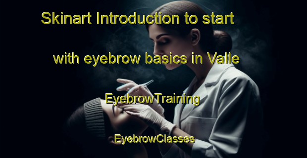 Skinart Introduction to start with eyebrow basics in Valle | EyebrowTraining | EyebrowClasses | SkinartTraining-Norway