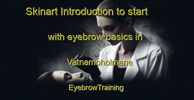 Skinart Introduction to start with eyebrow basics in Vatnamoholmane | EyebrowTraining | EyebrowClasses | SkinartTraining-Norway