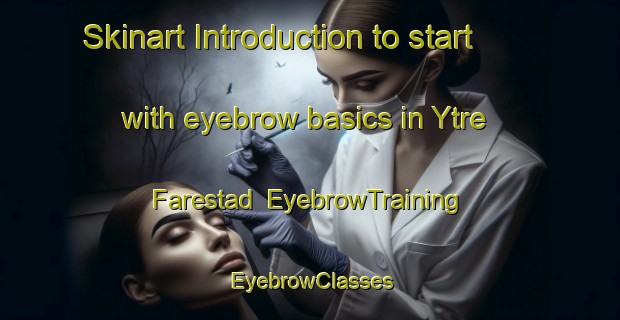 Skinart Introduction to start with eyebrow basics in Ytre Farestad | EyebrowTraining | EyebrowClasses | SkinartTraining-Norway