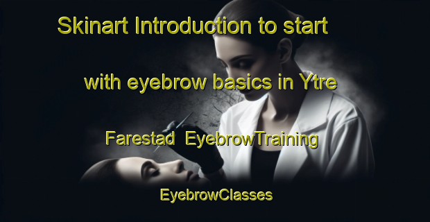 Skinart Introduction to start with eyebrow basics in Ytre Farestad | EyebrowTraining | EyebrowClasses | SkinartTraining-Norway