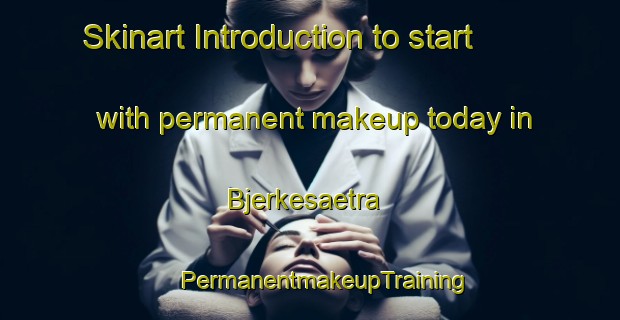 Skinart Introduction to start with permanent makeup today in Bjerkesaetra | #PermanentmakeupTraining #PermanentmakeupClasses #SkinartTraining-Norway