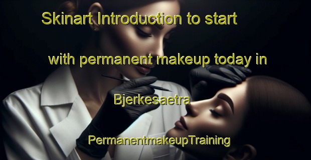 Skinart Introduction to start with permanent makeup today in Bjerkesaetra | PermanentmakeupTraining | PermanentmakeupClasses | SkinartTraining-Norway