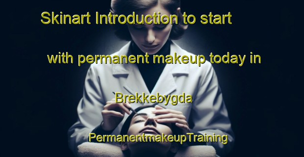 Skinart Introduction to start with permanent makeup today in Brekkebygda | #PermanentmakeupTraining #PermanentmakeupClasses #SkinartTraining-Norway