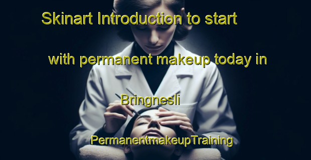 Skinart Introduction to start with permanent makeup today in Bringnesli | #PermanentmakeupTraining #PermanentmakeupClasses #SkinartTraining-Norway