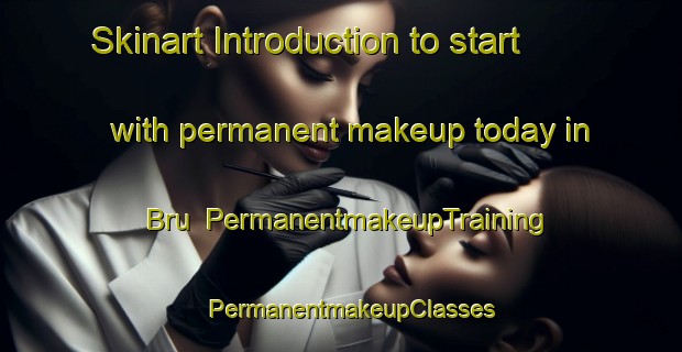 Skinart Introduction to start with permanent makeup today in Bru | PermanentmakeupTraining | PermanentmakeupClasses | SkinartTraining-Norway