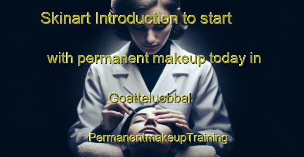 Skinart Introduction to start with permanent makeup today in Goatteluobbal | #PermanentmakeupTraining #PermanentmakeupClasses #SkinartTraining-Norway