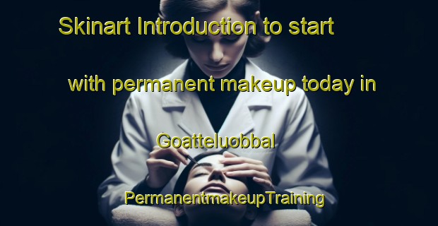Skinart Introduction to start with permanent makeup today in Goatteluobbal | PermanentmakeupTraining | PermanentmakeupClasses | SkinartTraining-Norway