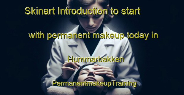 Skinart Introduction to start with permanent makeup today in Hummarbakken | PermanentmakeupTraining | PermanentmakeupClasses | SkinartTraining-Norway
