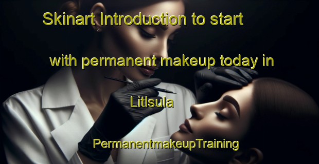 Skinart Introduction to start with permanent makeup today in Litlsula | #PermanentmakeupTraining #PermanentmakeupClasses #SkinartTraining-Norway