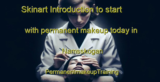 Skinart Introduction to start with permanent makeup today in Namsskogan | PermanentmakeupTraining | PermanentmakeupClasses | SkinartTraining-Norway