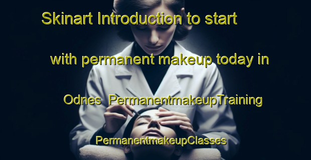 Skinart Introduction to start with permanent makeup today in Odnes | PermanentmakeupTraining | PermanentmakeupClasses | SkinartTraining-Norway