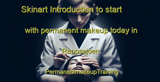 Skinart Introduction to start with permanent makeup today in Reppasjoen | PermanentmakeupTraining | PermanentmakeupClasses | SkinartTraining-Norway