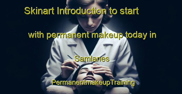 Skinart Introduction to start with permanent makeup today in Samlanes | PermanentmakeupTraining | PermanentmakeupClasses | SkinartTraining-Norway