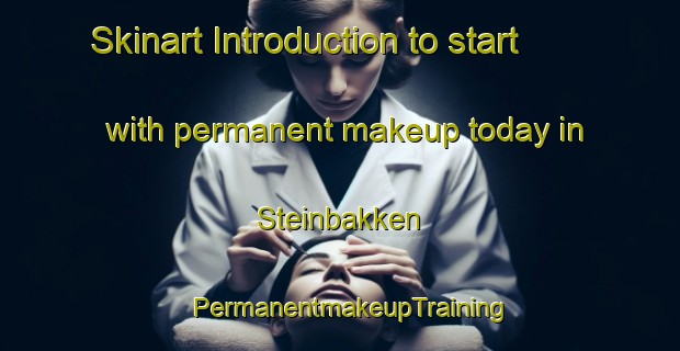 Skinart Introduction to start with permanent makeup today in Steinbakken | PermanentmakeupTraining | PermanentmakeupClasses | SkinartTraining-Norway