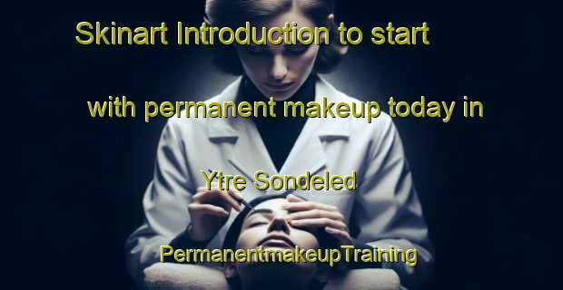 Skinart Introduction to start with permanent makeup today in Ytre Sondeled | PermanentmakeupTraining | PermanentmakeupClasses | SkinartTraining-Norway